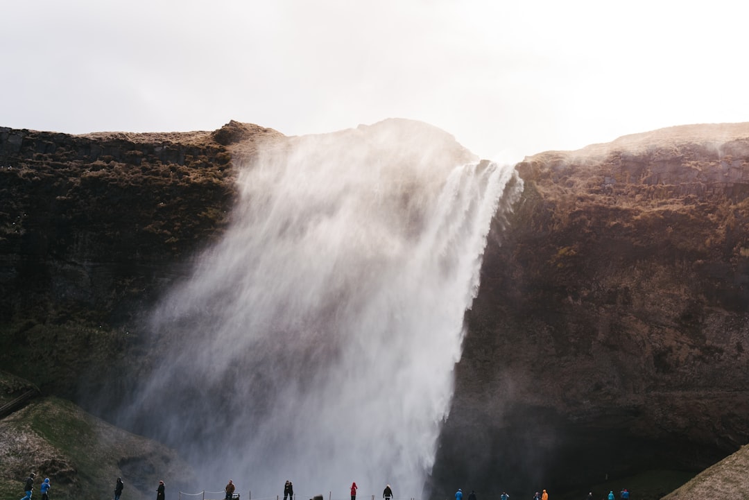 The Art of Budget-Friendly Outdoor Adventures